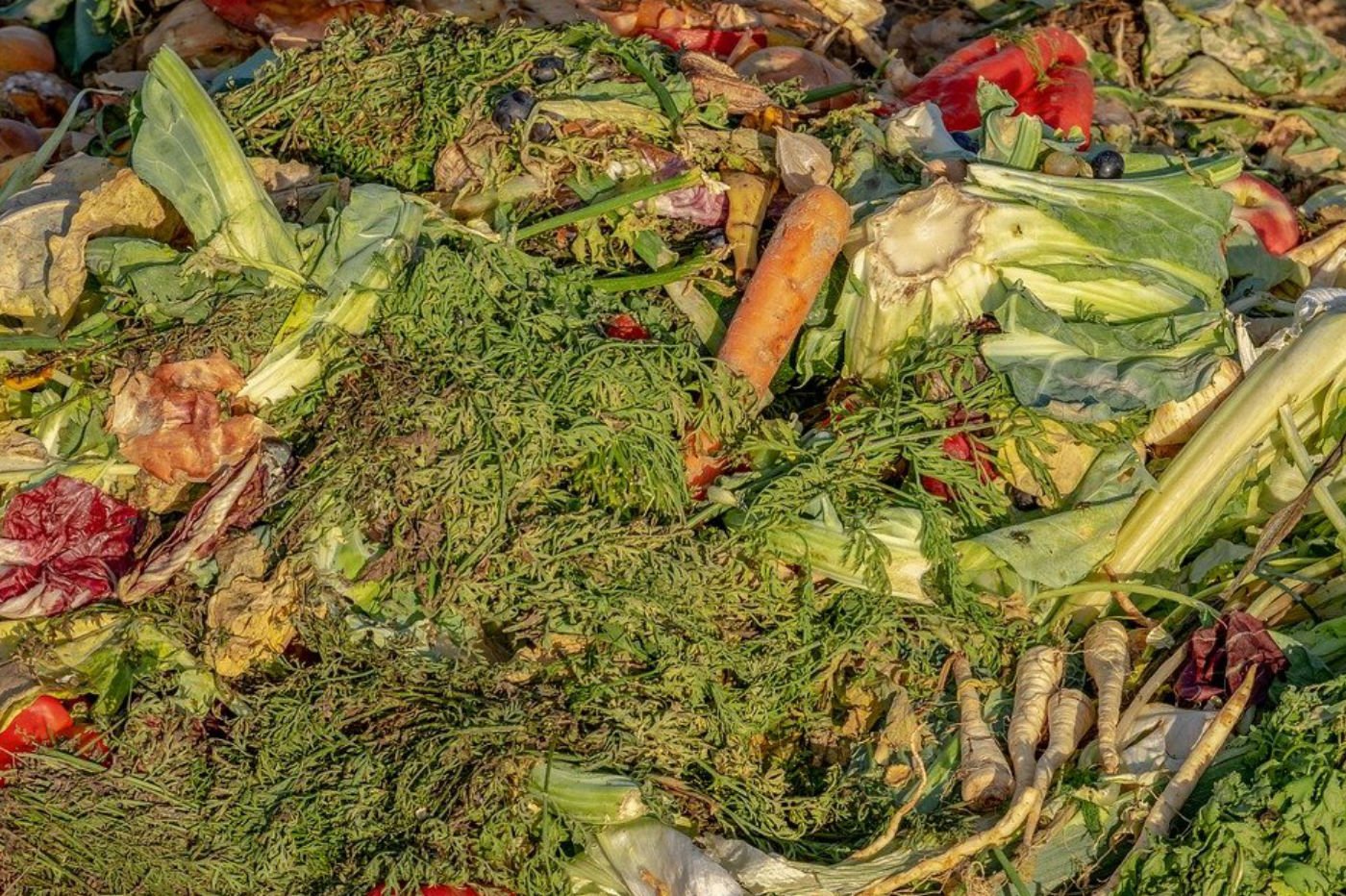 用食物垃圾制作野草莓或香草调味料？这是可能的！